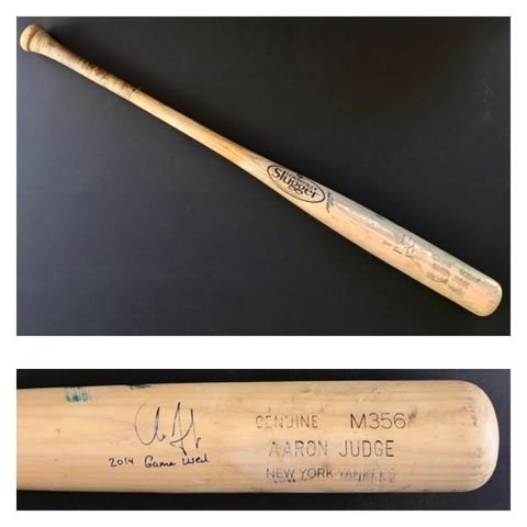 Modern Baseball Bat