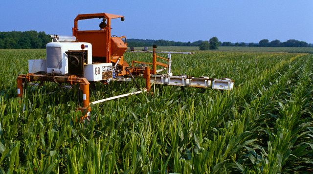 Turismo Rural adquiere gran relevancia como actividad extrapredial y fuente de ingresos