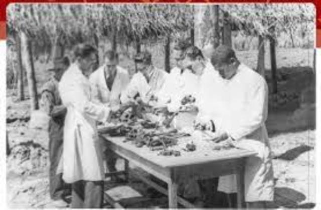 Se le dio el nombre a la escuela normal universidad de Colombia