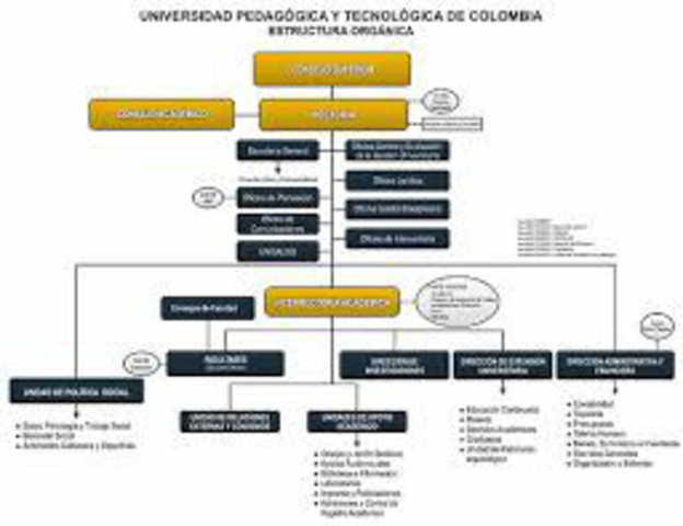 ESQUEMAS ORGÁNICOS Y JERARQUICOS DE LAS ENTIDADES DIRECTIVAS