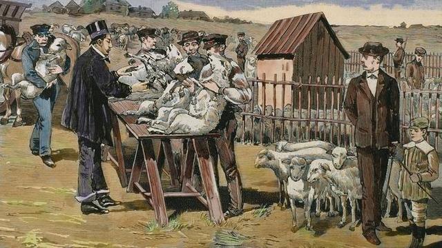 First vaccination for Anthrax