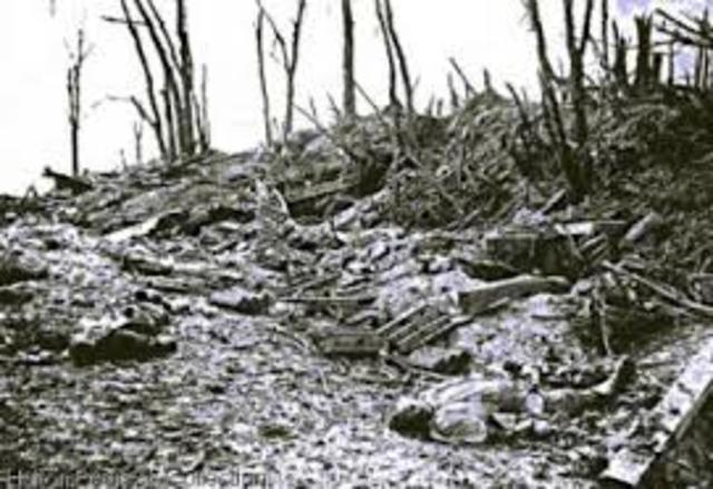 ofensiva alemana primera en verdún