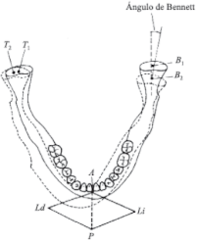 Movimientos de Bennett
