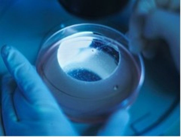 Stem Cell Research Laboratory Breakthroughs and Some Clinical Advances