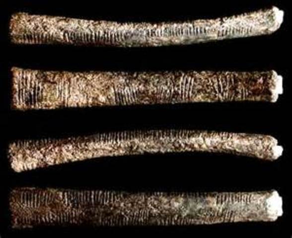 Los huesos de Ishango