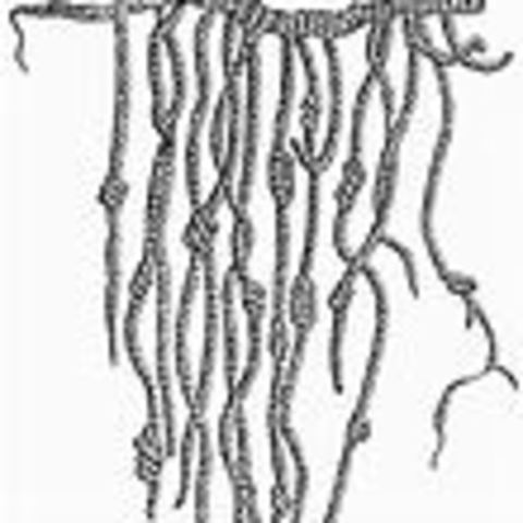 El Quipu