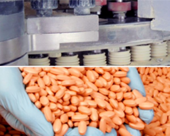 STAGE 5: COMPRESSION OF THE PURIFIED MICRONIZED FLAVONOID FRACTION