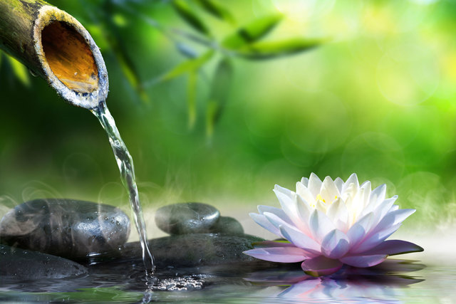 CONCEPTO DE CALIDAD DE VIDA 1