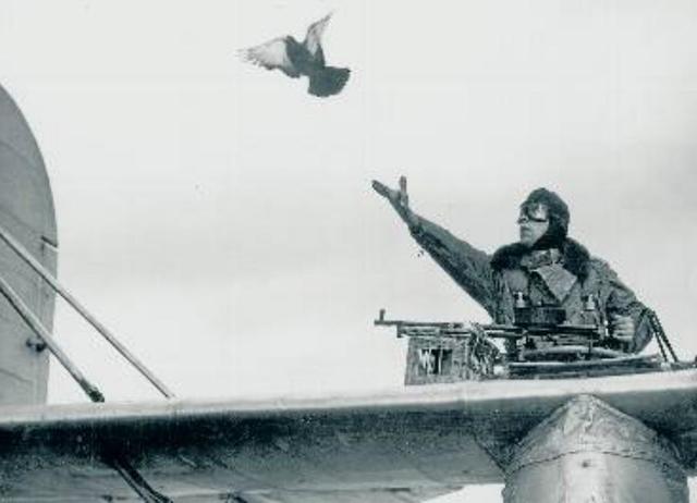 Las palomas mensajeras (Grecia)