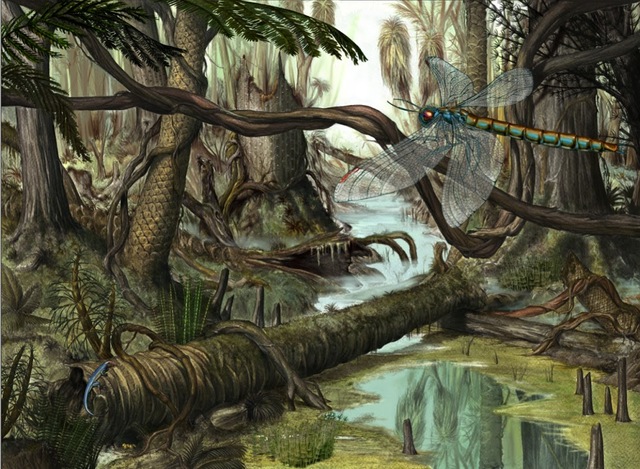 La terra è una distesa paludosa