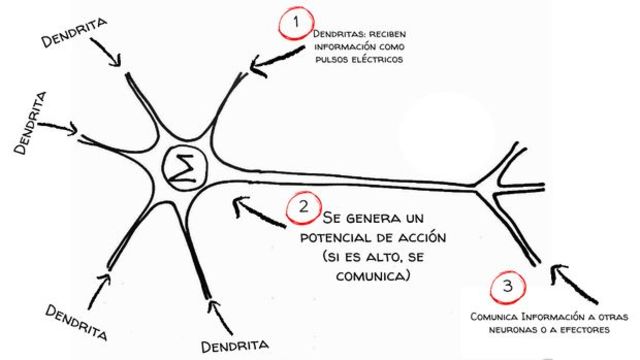 Renacimineto del conexionismo