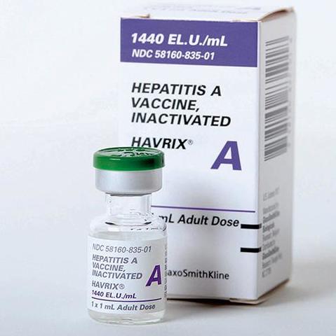 Hepatitis A Vaccine