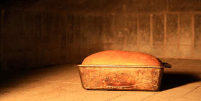 The Cultivation of Yeast