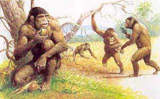 La comparsa dei primi ominidi nel globo terrestre