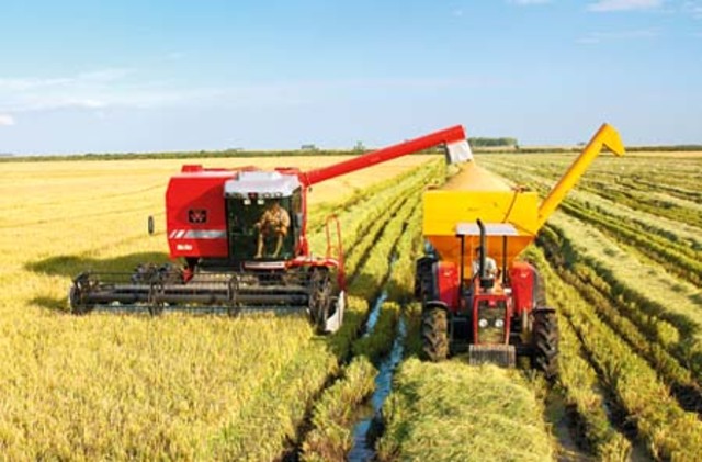 Años sesenta (México)