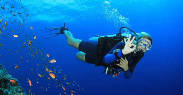 Reglamento de prestación del Servicio Turístico de Buceo