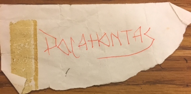 My First Trip to Animal Kingdom