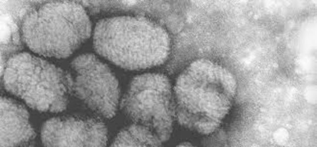 W.H.O. (World Health Organization) announces smallpox is eradicated.