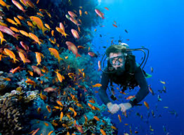 Reglamento para la prestación del servicio turístico de buceo.