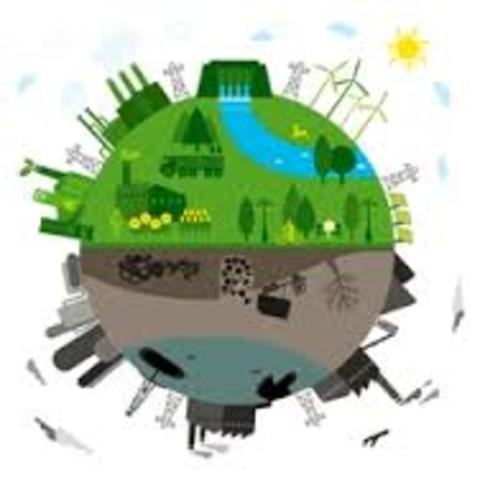 Desarrollo Del Estado Bienestar