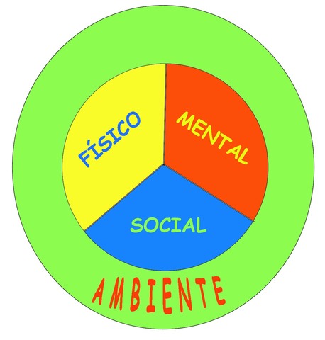 Concepto Calidad de Vida (OMS)