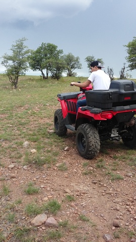 Otro regalo sorpresa