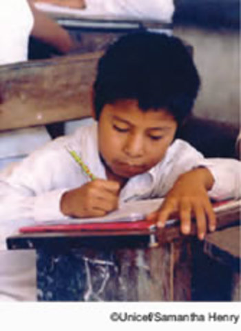 Promoción Automática