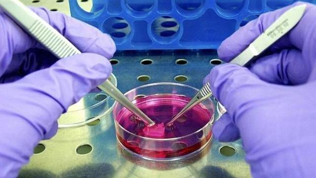 NUEVA TERAPIA GENÉTICA