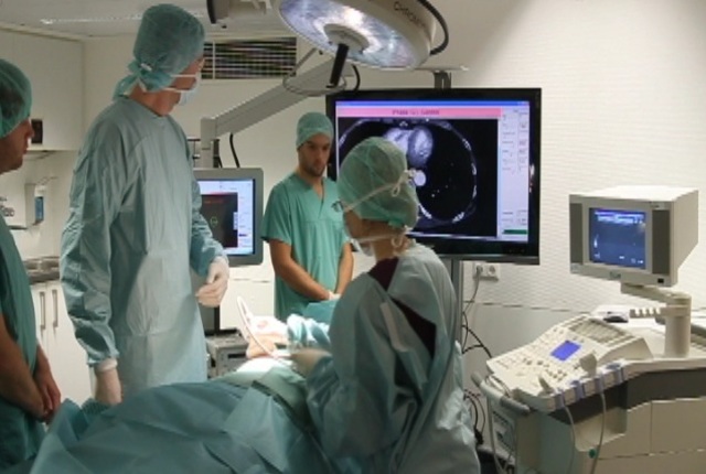 Electronic Information.