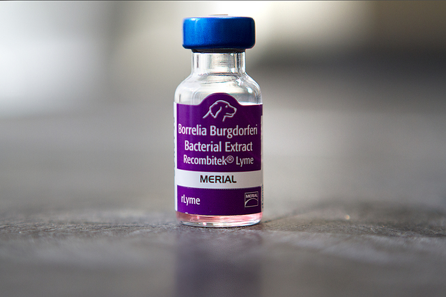 LYMERix Vaccine