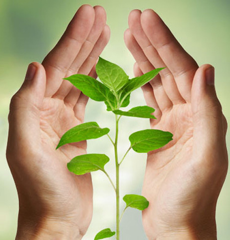 calidad de vida (Szalai)