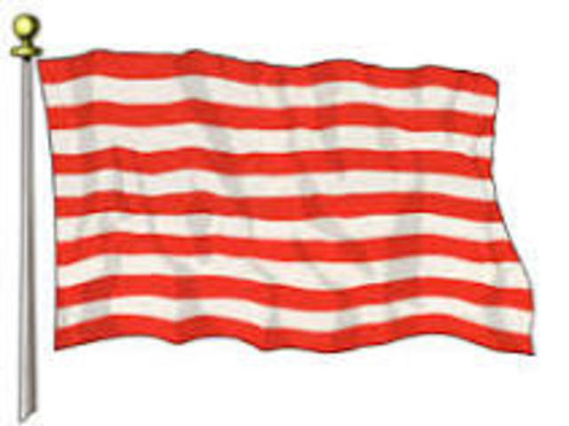 Adopted "Rebellious Stripes" Flag