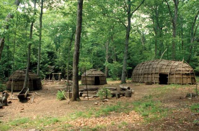 Natives come to Americas