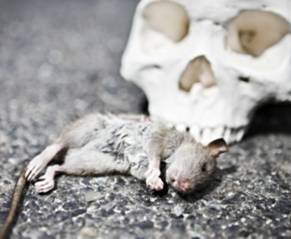 Black Death begins in Europe