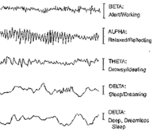 Brain Waves