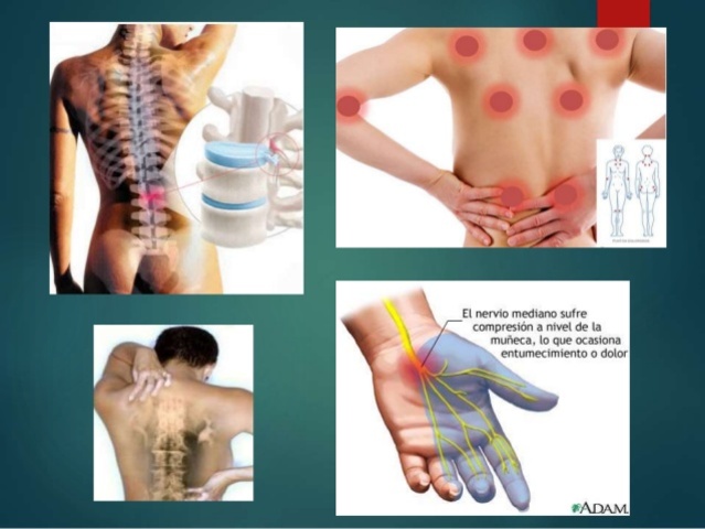 Decreto 2566 de 2009.