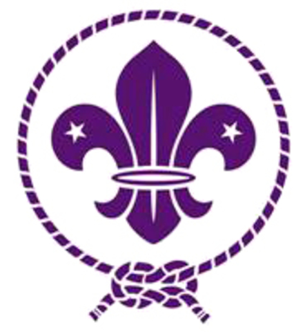 Suspensión del movimiento Scout