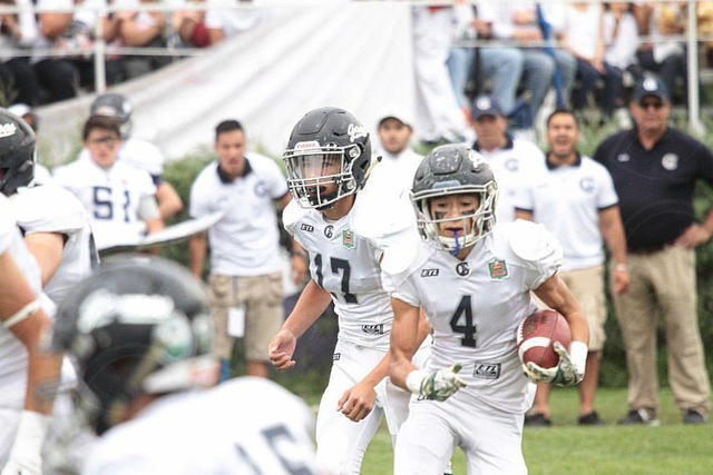 Hice una familia en gamos