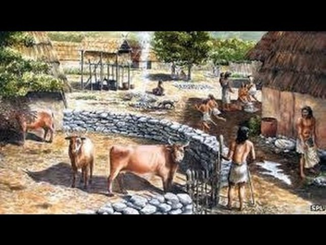 Los primeros criaderos de ganado