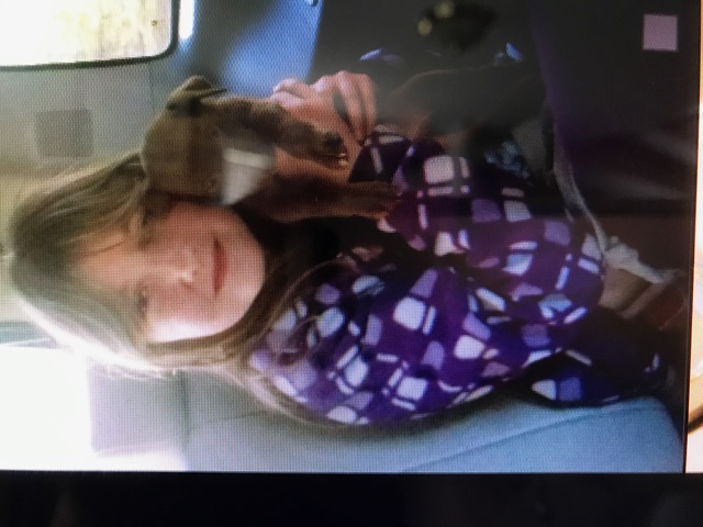 Adopting My First Dog!