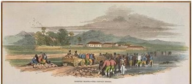 The transportation of convicts to Norfolk Island ceased.