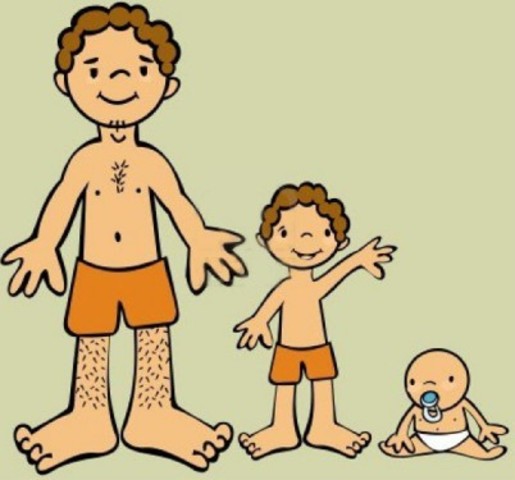 La evolución del concepto de desarrollo