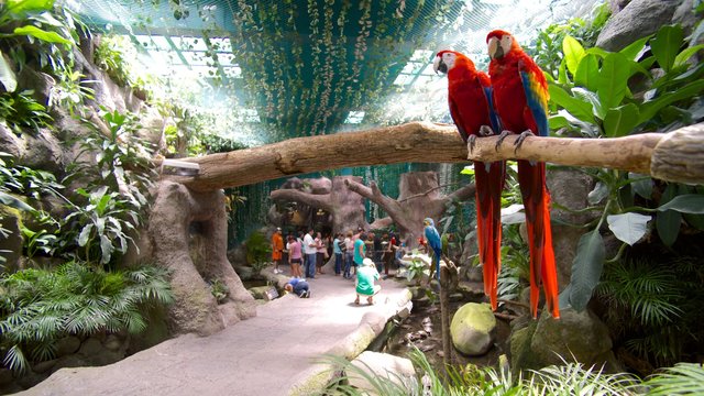 Viajo a Veracruz con mis abuelitos