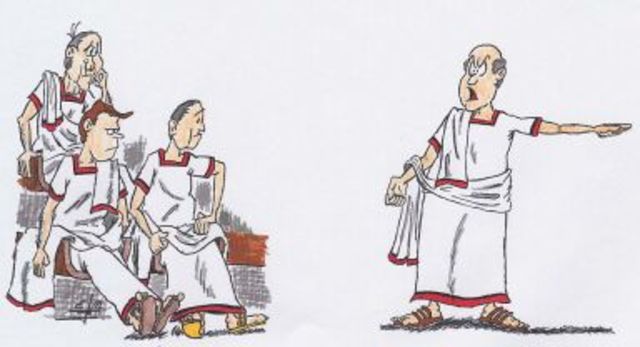 Organización Política