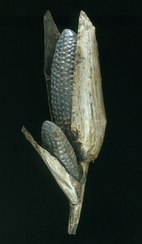 Silver Representation of a Maize Plant