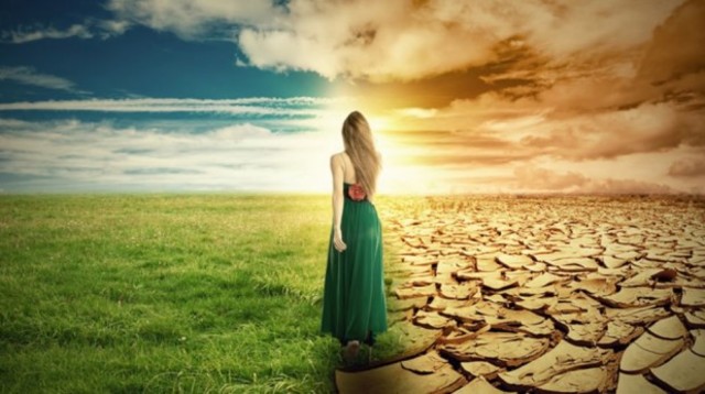 La Calidad de Vida. Celia y Tulsky,