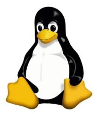 linux agertzea