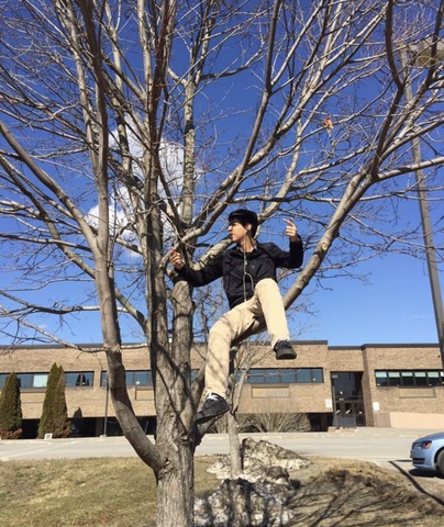 Brewster High School