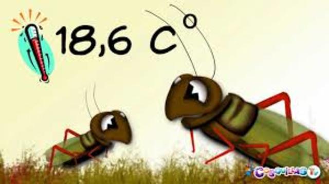 ¿CÓMO MEDIR LA TEMPERATURA CON EL CANTO DE UN GRILLO?