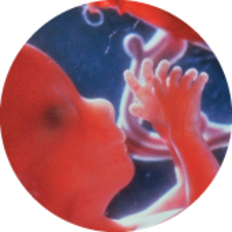 Pregnancy at four months or 17 weeks http://www.bounty.com/pregnancy-and-birth/pregnancy/pregnancy-week-by-week/17-weeks-pregnant